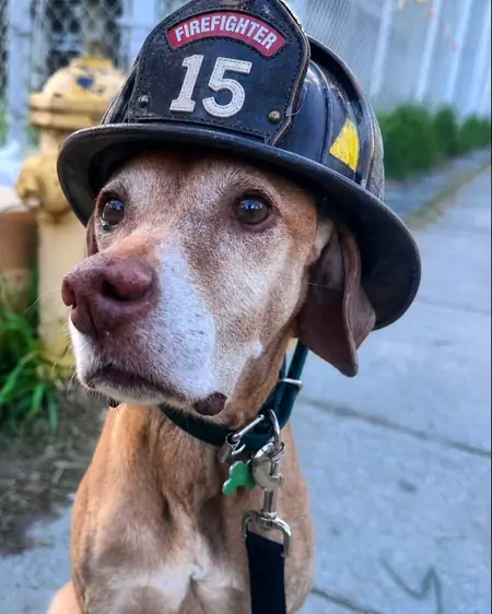 Mars wearing a firefighter helmet